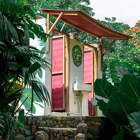 Magic Green Dentro Del Parque Tayrona El Zaino Luaran gambar