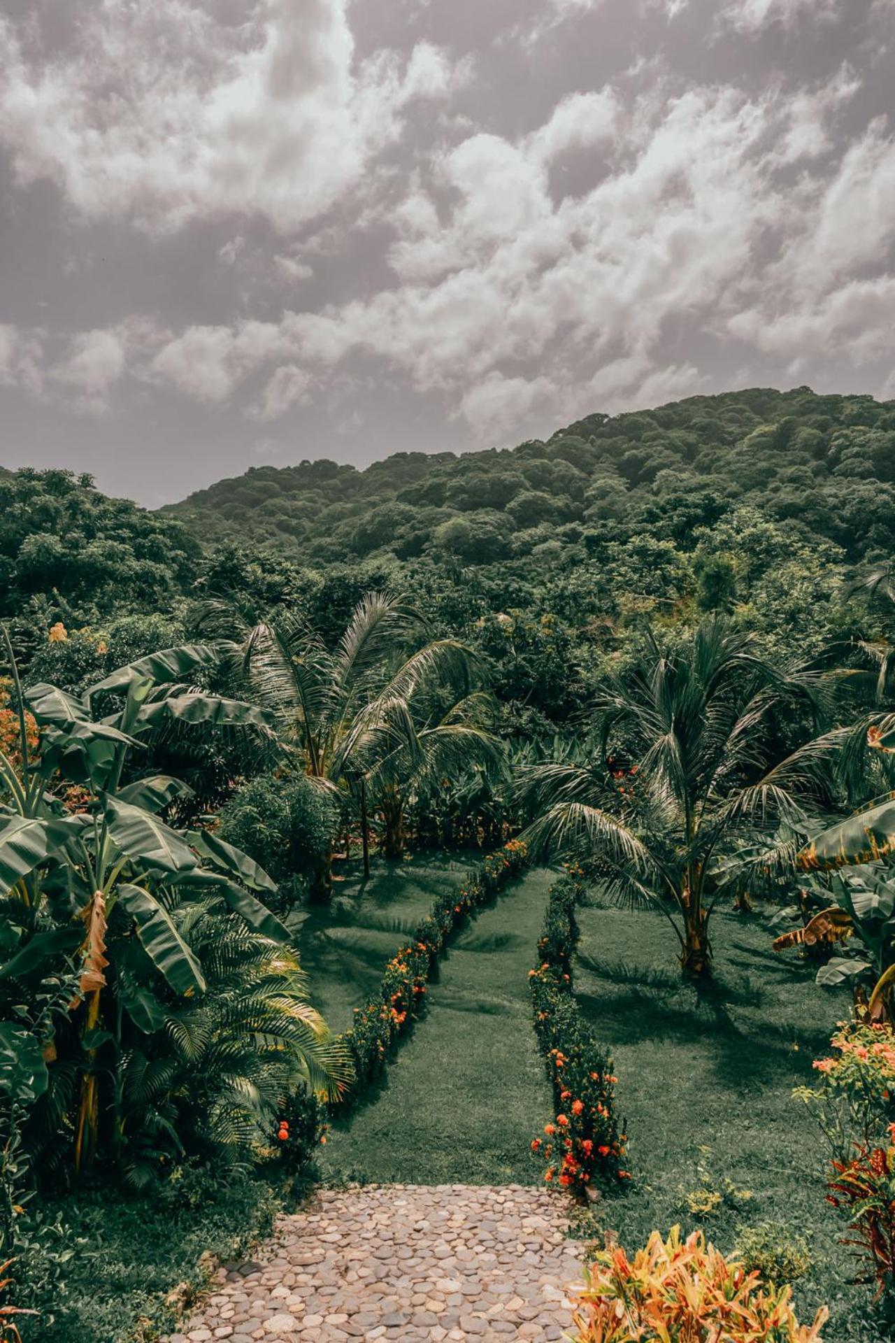 Magic Green Dentro Del Parque Tayrona El Zaino Luaran gambar