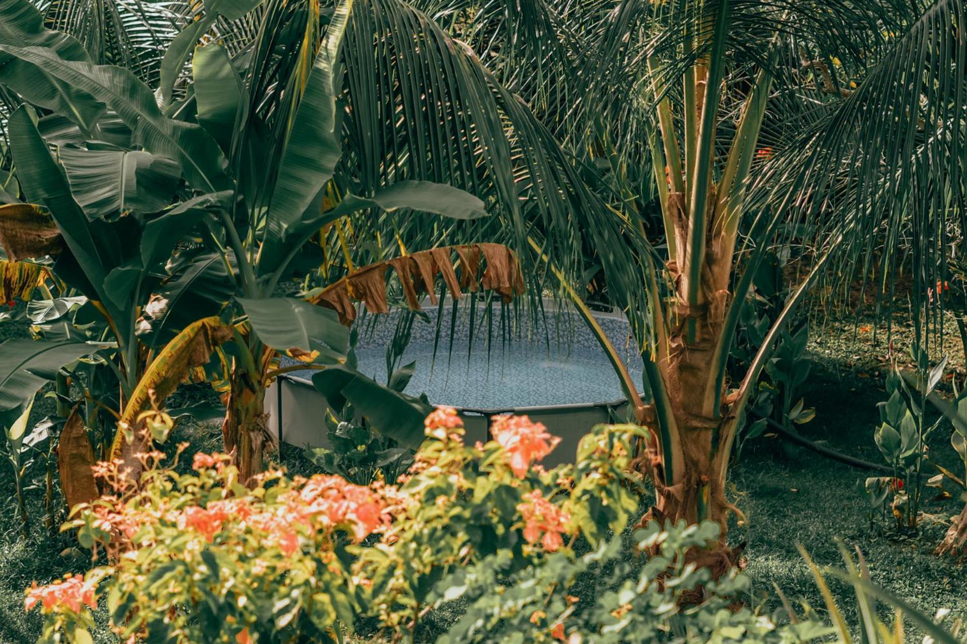 Magic Green Dentro Del Parque Tayrona El Zaino Luaran gambar